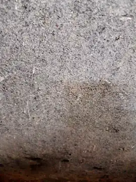 Snapshot of nagepalli chatting on November 14, 2025, 3:49 am nagepalli online show from November 14, 2025, 3:49 am