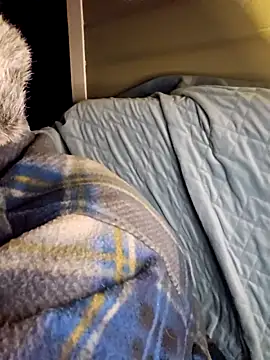 Snapshot of Budd_Bunney chatting on November 20, 2025, 12:44 am Budd Bunney online show from November 20, 2025, 12:44 am