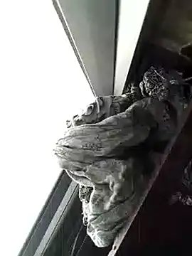 Snapshot of amanWildstalion chatting on November 8, 2025, 7:19 am amanWildstalion online show from November 8, 2025, 7:19 am