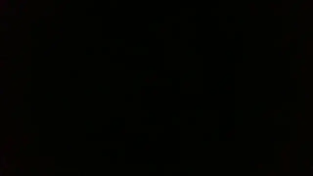 Venus cat  online show from January 8, 2026, 4:37 am