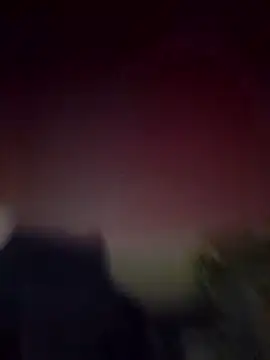 Curious9884 online show from January 11, 2026, 11:15 am