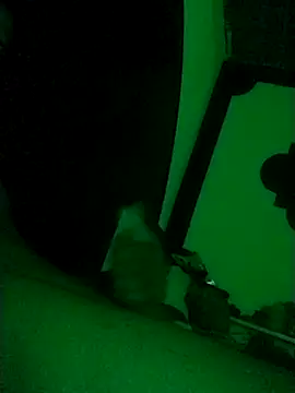 Buddha289 online show from February 22, 2026, 9:41 am