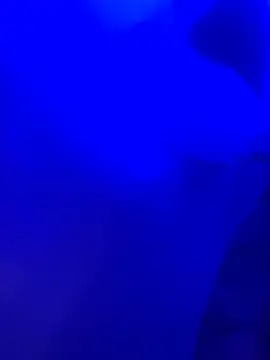 Dammianmiller online show from February 24, 2026, 3:26 am