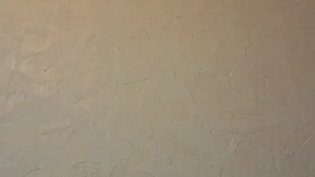 Kavin New online show from March 25, 2026, 3:51 pm