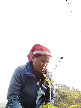 sumaybae online show from October 28, 2025, 1:09 am