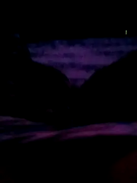 Snapshot of veintitres23 chatting on November 11, 2025, 7:52 am veintitres23 online show from November 11, 2025, 7:52 am