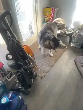 Jcaspen online show from March 9, 2026, 1:04 pm