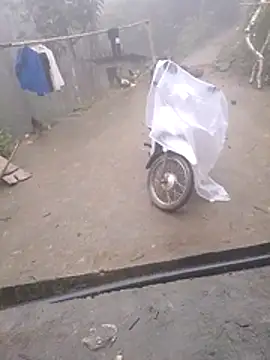 Ripe me online show from November 12, 2025, 12:11 am