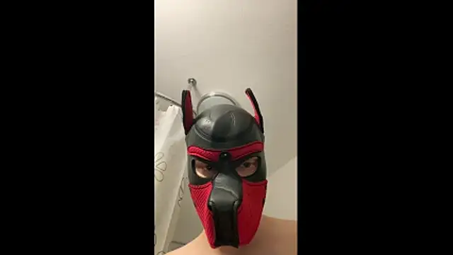 Snapshot of MolleDolle chatting on December 1, 2025, 2:33 pm MolleDolle online show from December 1, 2025, 2:33 pm