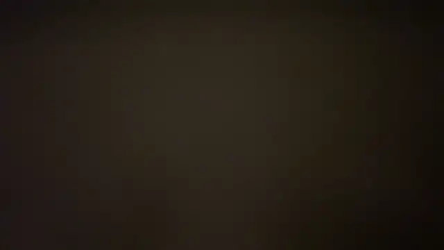 MolleDolle online show from February 13, 2026, 6:37 pm