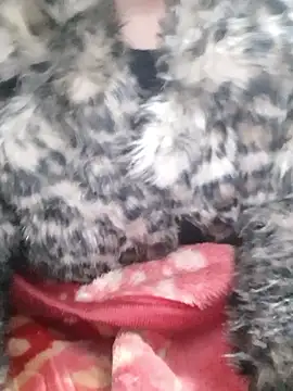 Mahi677 online show from January 8, 2026, 6:43 pm