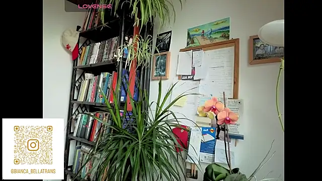 Snapshot of bianca_bellamy chatting on June 9, 2026, 7:42 am bianca bellamy online show from June 9, 2026, 7:42 am