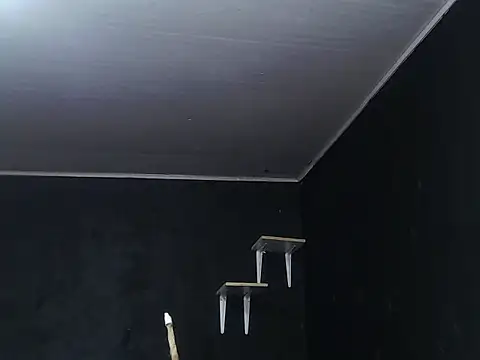 Snapshot of Liastark chatting on November 30, 2025, 10:41 am Liastark online show from November 30, 2025, 10:41 am