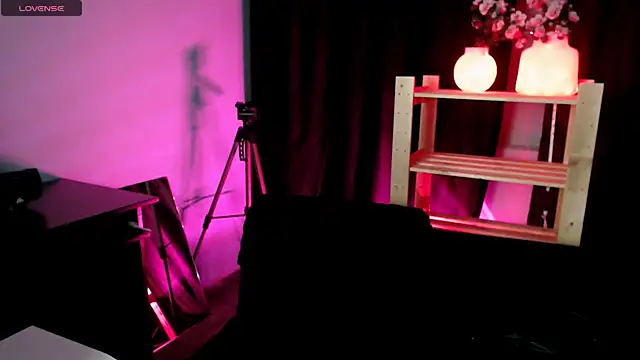 Snapshot of nikadinny chatting on December 17, 2025, 12:27 am nikadinny online show from December 17, 2025, 12:27 am