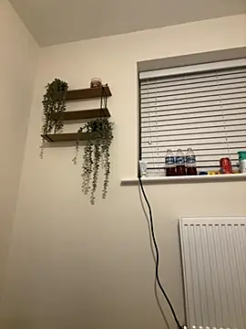 Hothungboy1 online show from November 30, 2025, 5:50 pm