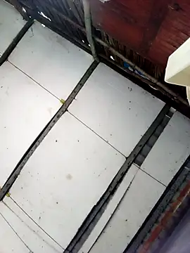 Snapshot of Cherry_pusy99 chatting on October 27, 2025, 12:04 am Cherry pusy99 online show from October 27, 2025, 12:04 am