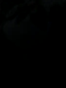 Playboyx143xh online show from December 14, 2025, 3:28 pm