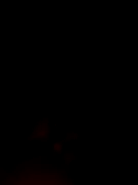 Snapshot of ShavenScope24 chatting on December 1, 2025, 5:40 pm ShavenScope24 online show from December 1, 2025, 5:40 pm