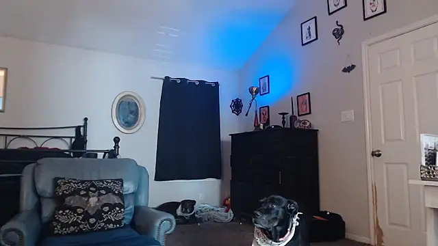 ImKatMeow online show from February 9, 2026, 5:17 pm