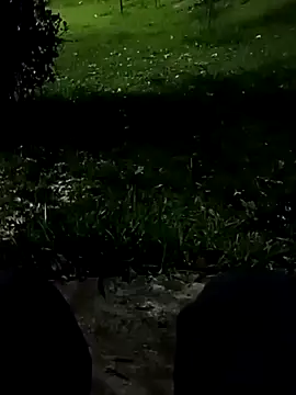 Snapshot of roludao_fun chatting on November 10, 2025, 10:42 pm roludao fun online show from November 10, 2025, 10:42 pm