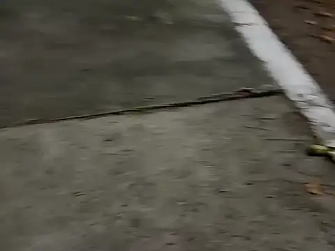 Snapshot of roludao_fun chatting on December 4, 2025, 10:07 pm roludao fun online show from December 4, 2025, 10:07 pm