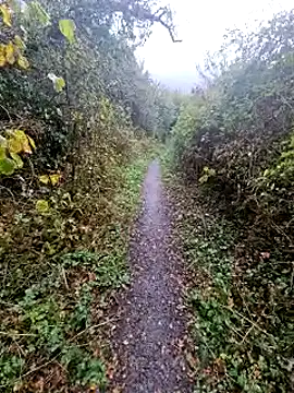 Snapshot of bbyxklaus chatting on October 20, 2025, 11:43 am bbyxklaus online show from October 20, 2025, 11:43 am