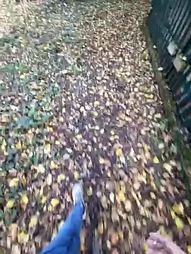 Snapshot of bbyxklaus chatting on November 4, 2025, 10:36 am bbyxklaus online show from November 4, 2025, 10:36 am