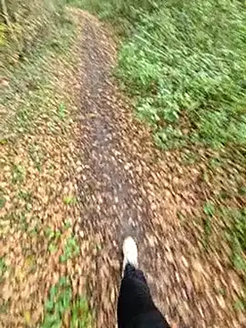 Snapshot of bbyxklaus chatting on November 6, 2025, 12:28 pm bbyxklaus online show from November 6, 2025, 12:28 pm