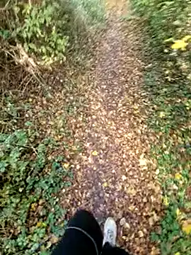 Snapshot of bbyxklaus chatting on November 9, 2025, 10:57 am bbyxklaus online show from November 9, 2025, 10:57 am