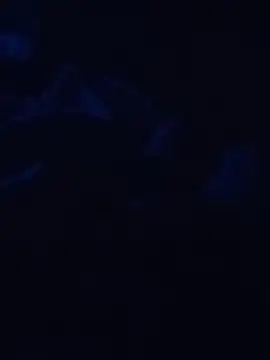 Cedric7653 online show from February 28, 2026, 12:44 am