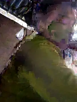 chipu06 online show from December 19, 2025, 4:30 am