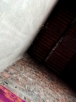 Bear bear0 online show from December 19, 2025, 10:17 pm