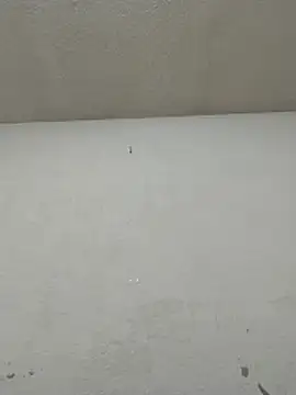 Chicattoo69 online show from November 20, 2025, 6:07 pm