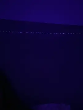 Snapshot of Gia_Atkinson chatting on October 24, 2025, 11:45 pm Gia Atkinson online show from October 24, 2025, 11:45 pm