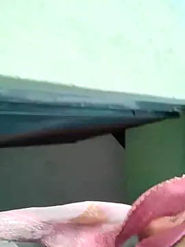 Snapshot of Bhumika_Love chatting on November 11, 2025, 11:21 am Bhumika Love online show from November 11, 2025, 11:21 am