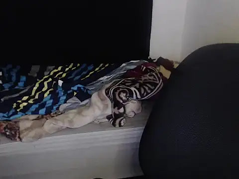 Snapshot of Negritatata chatting on November 28, 2025, 11:13 am Negritatata online show from November 28, 2025, 11:13 am