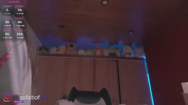 Snapshot of sofi_sc chatting on November 9, 2025, 2:26 pm sofi sc online show from November 9, 2025, 2:26 pm