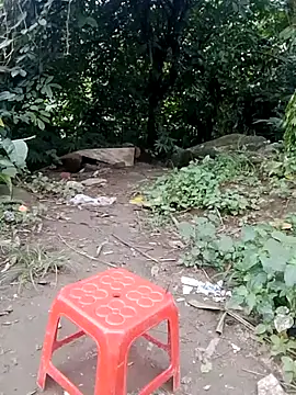doggy-00 online show from July 24, 2026, 11:30 am
