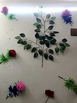 Indian-Glory online show from January 14, 2026, 8:47 pm