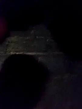 bella-la online show from November 30, 2025, 11:25 am