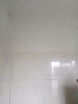 bella-la online show from February 12, 2026, 1:00 am