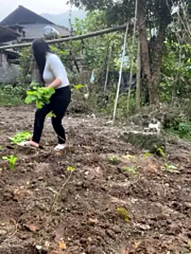 heodat-sexx online show from December 20, 2025, 9:38 am