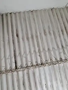 Dirty-Mature-XXX online show from February 10, 2026, 12:59 am