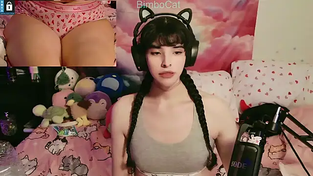 BimboCat online show from November 1, 2025, 7:21 am