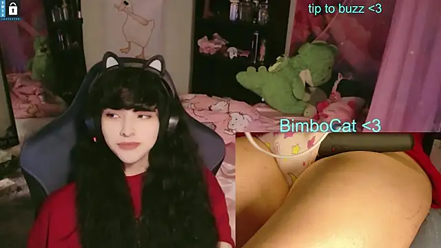 Snapshot of BimboCat chatting on June 13, 2026, 8:07 pm BimboCat online show from June 13, 2026, 8:07 pm