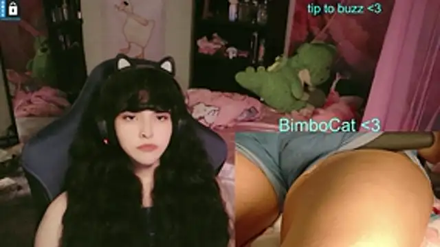 Snapshot of BimboCat chatting on June 14, 2026, 2:35 am BimboCat online show from June 14, 2026, 2:35 am