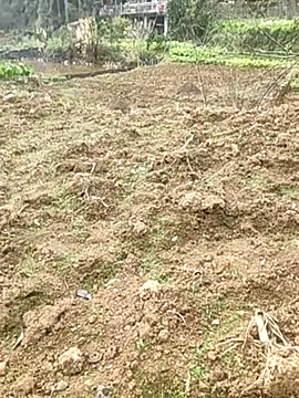 Snapshot of tian7788 chatting on February 17, 2026, 3:03 am tian7788 online show from February 17, 2026, 3:03 am