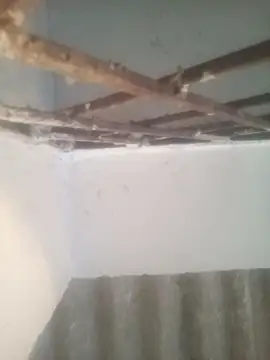 Pallu Asha online show from March 15, 2026, 1:22 am