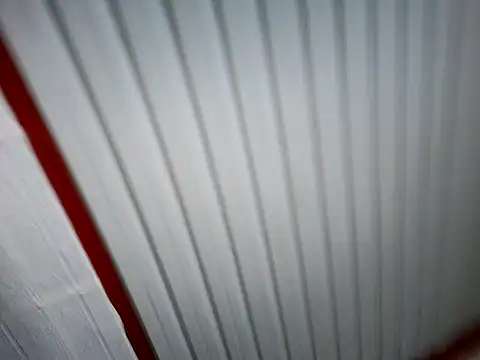 xwildflowerx online show from March 3, 2026, 9:21 pm