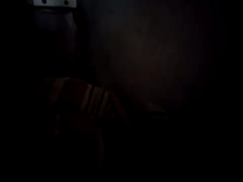 6perlas9 online show from November 3, 2025, 2:07 pm